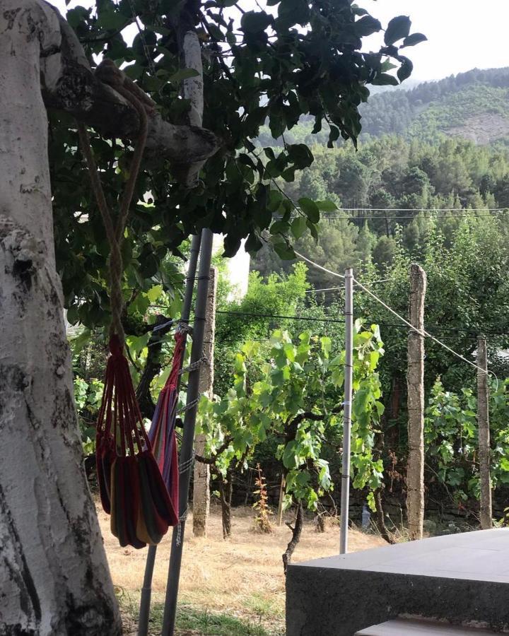Përmet Guesthouse "Shtepia Ime" מראה חיצוני תמונה